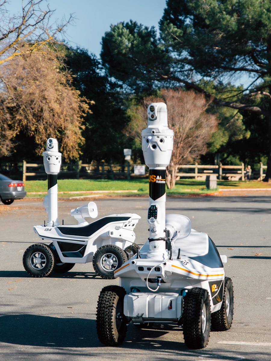 Group patronlling robots